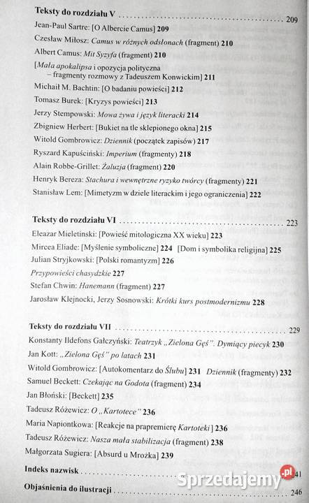 Literatura współczesna Anna Nasiłowska sprzedam