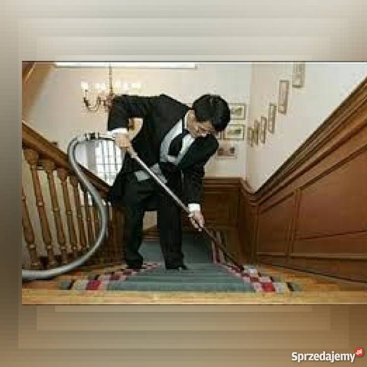 Prywatne sprzątanie domów i mieszkań Mrozy