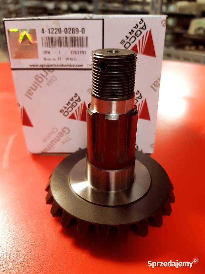 Koło pionowe 4122002890 Lely lubuskie