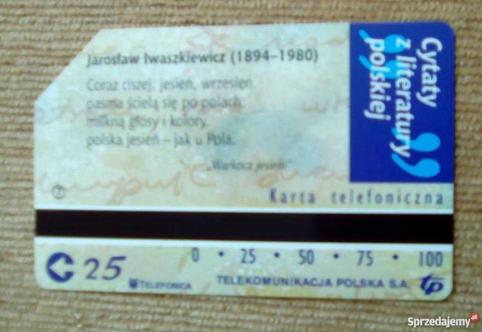 WARKOCZ JESIENI JAROSŁAW IWASZKIEWICZ Piszczac