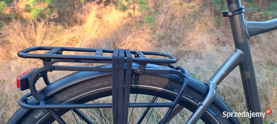 Rower Giant Any Tour CS Toruń