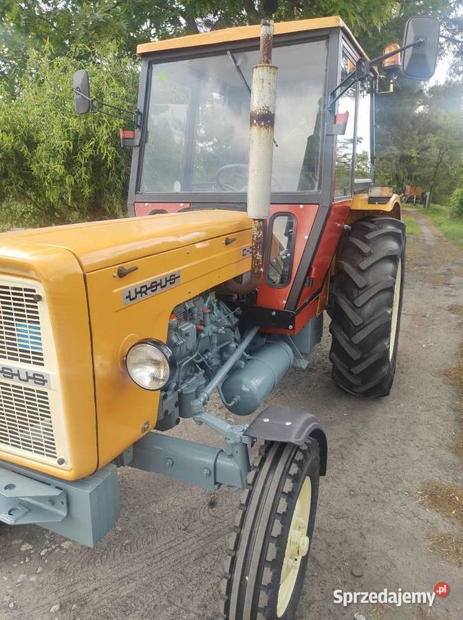 Ursus C360 produkcji 1980 kujawsko-pomorskie Nasiegniewo