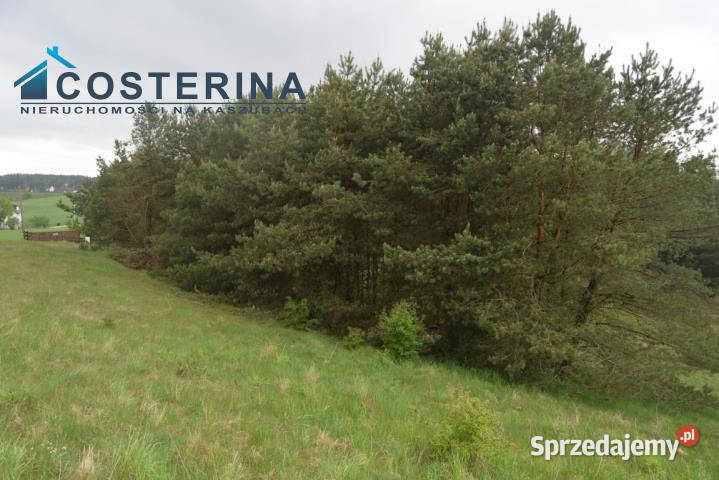 Grunt Skorzewo 1000 metrów Sprzedaż pomorskie