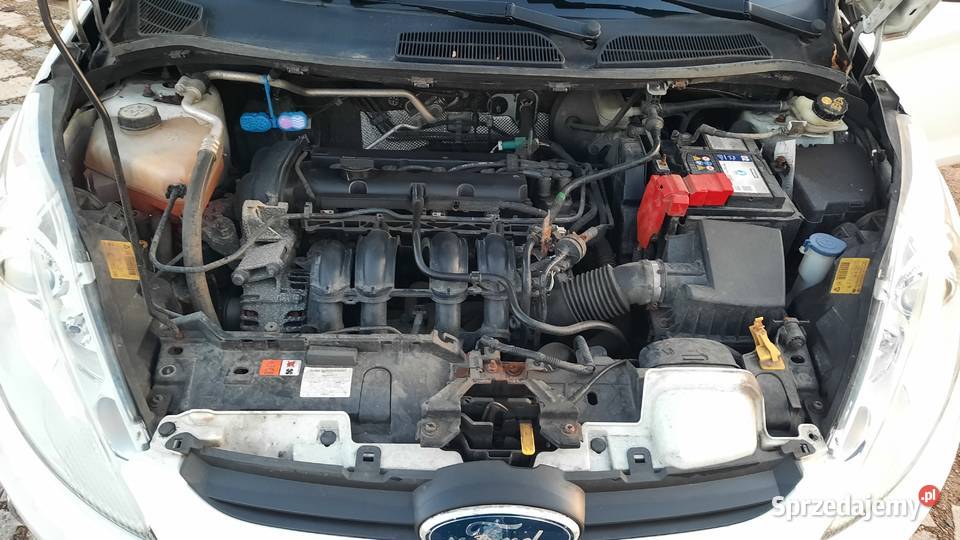 Ford Fiesta 125 Benzyna 82 Klima sprawna Zadbana 82KM Fiesta Kraśnik