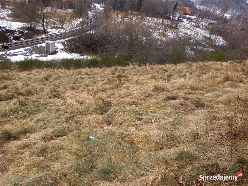sprzedaży działki JedlinaZdrój Jedlina-Zdrój
