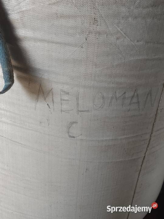 Sprzedam pszenicę konsumpcyjną Opokę i Pszenżyto Łuków