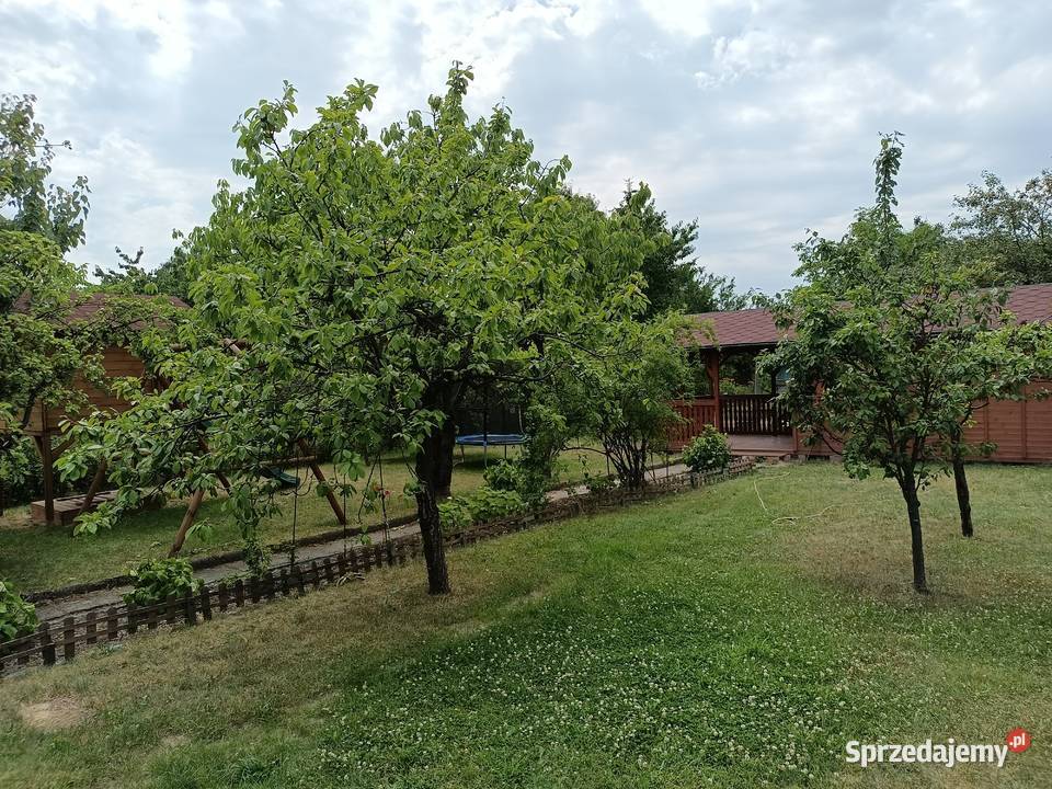 Działka ROD Bemowo Warszawa