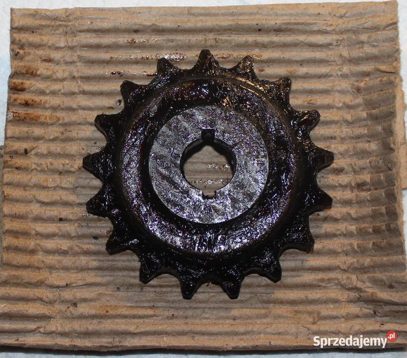 HARLEY WLA ZĘBATKA NOS Głubczyce