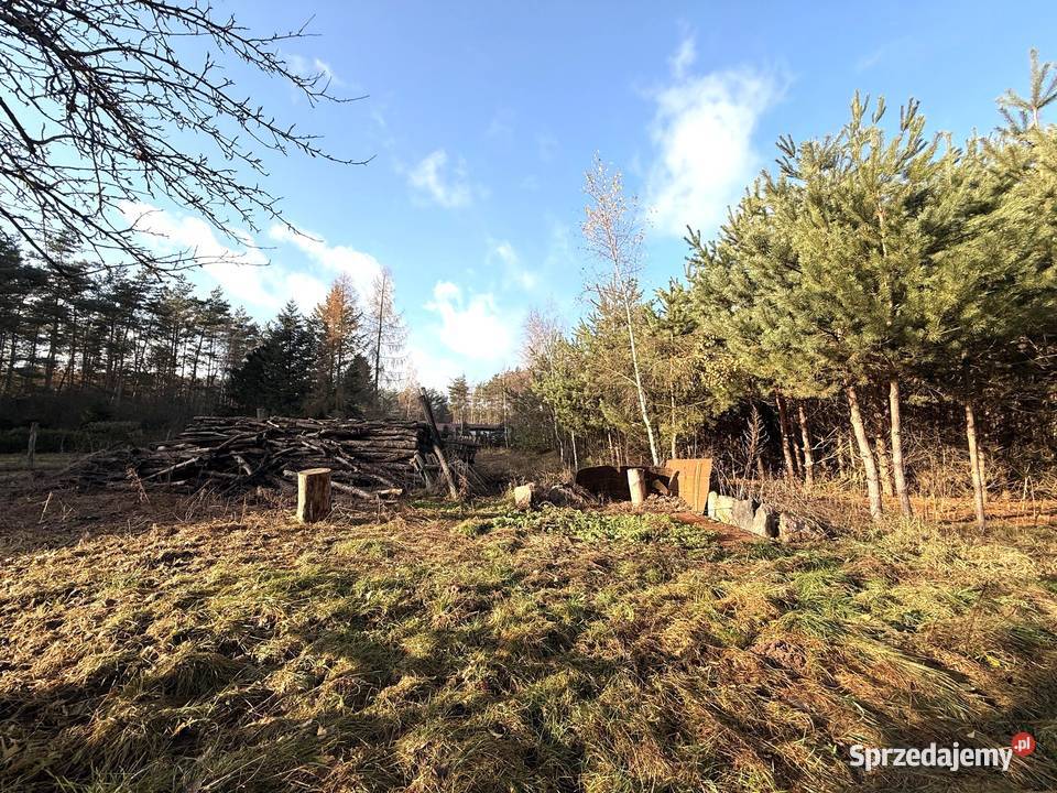 Dom z dużą działką i lasem w Nowinach Brdowskich