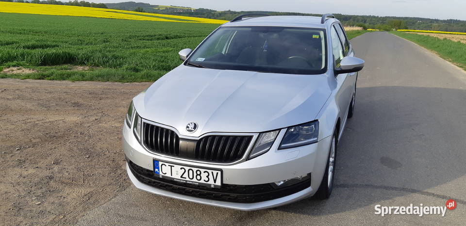 Skoda Octavia 16 TDI Ambition DSG Octavia Nowy Świętów