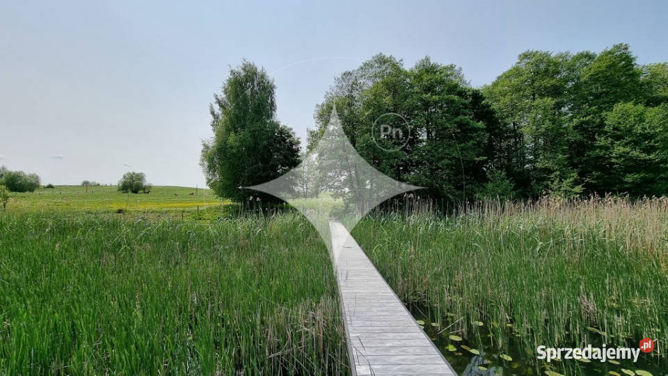Działka rolna linia brzegowa Jez Krzywe Mazury 21m warmińsko-mazurskie Cisy