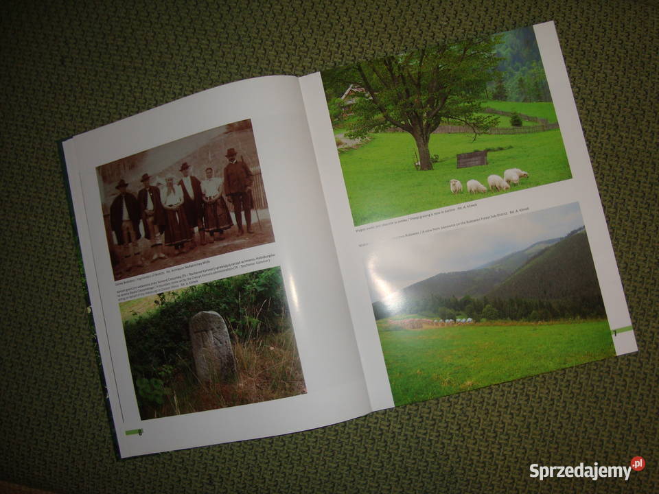 Album Nadleśnictwo Wisła z fotoopisem śląskie Tychy sprzedam