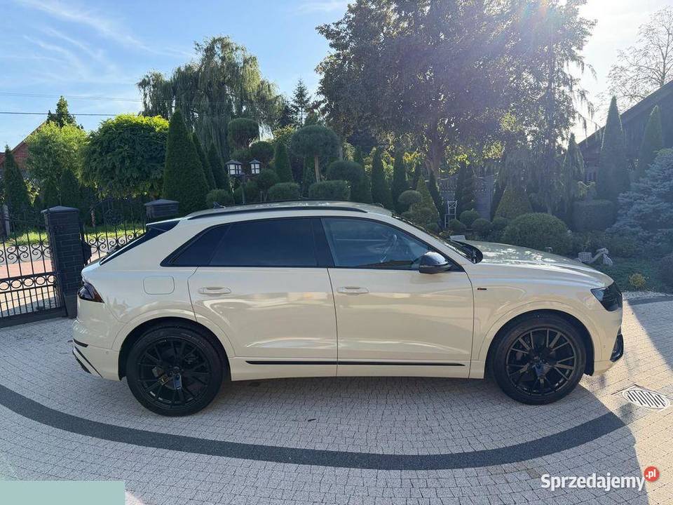 Audi Q8 50 TDI mHEV Quattro Tiptronic 286 2019r sprzedam