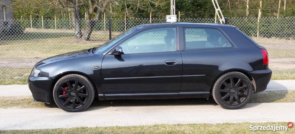 Audi A3 8L 19 TDI 131 131KM A3 Chojnice