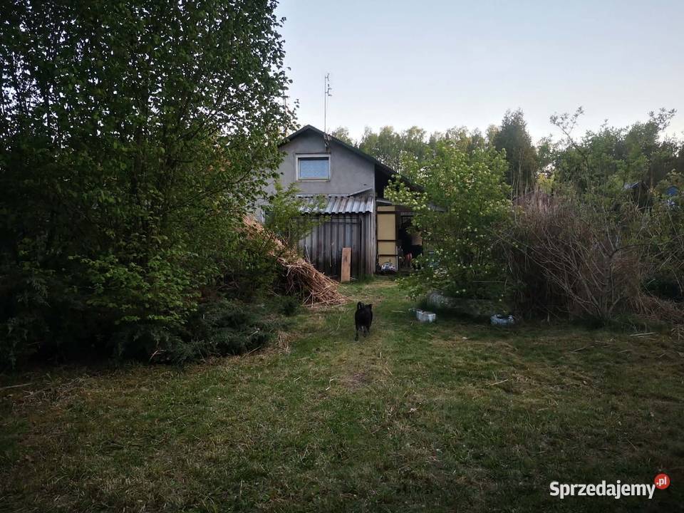 Działki ROD Grochowa nieopodal Piaseczna Warszawa