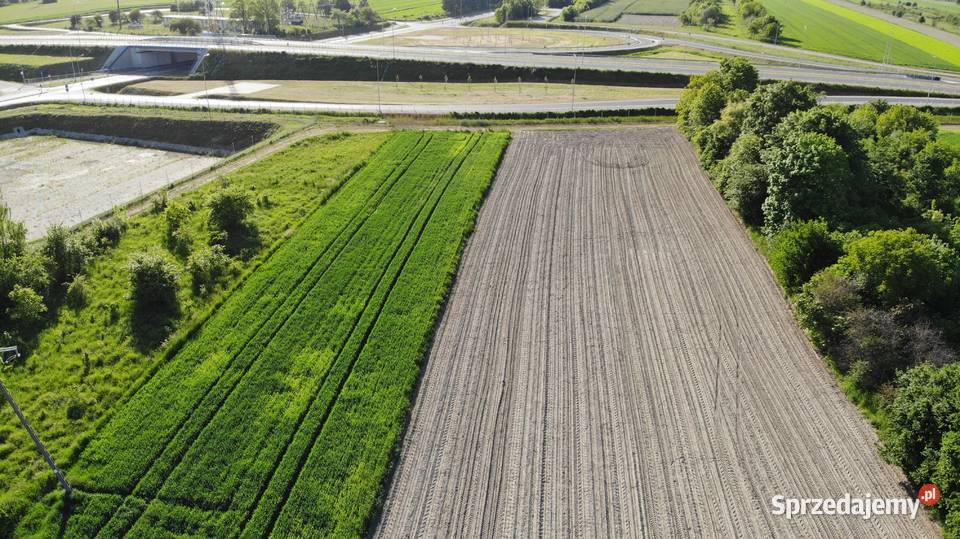 Inwestycyjna działka w Iłży budowlana mazowieckie Iłża sprzedam