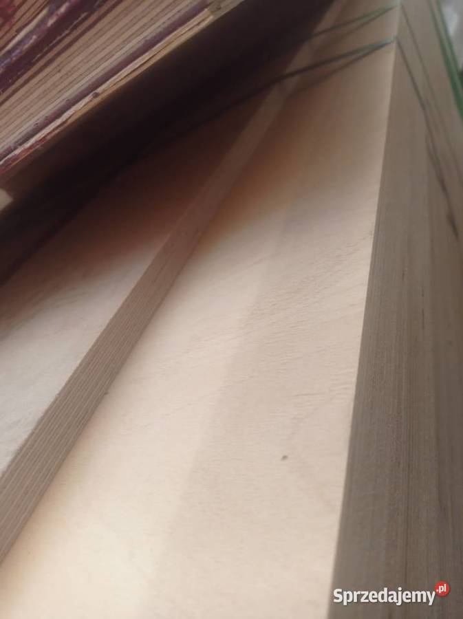 Sklejki surowe pasy 18mm 220x3100mm Brzeźno