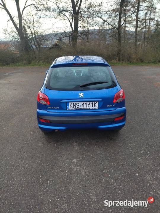 PEUGEOT 206 PLUS nieuszkodzony Wielogłowy