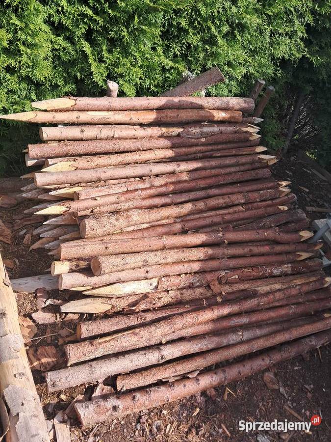 Słupki drewniane paliki stemple 15 m pastuch Raba Wyżna