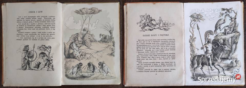 Unikat Bajki z tematów Ezopa 1953 Świderkówna mazowieckie Warszawa