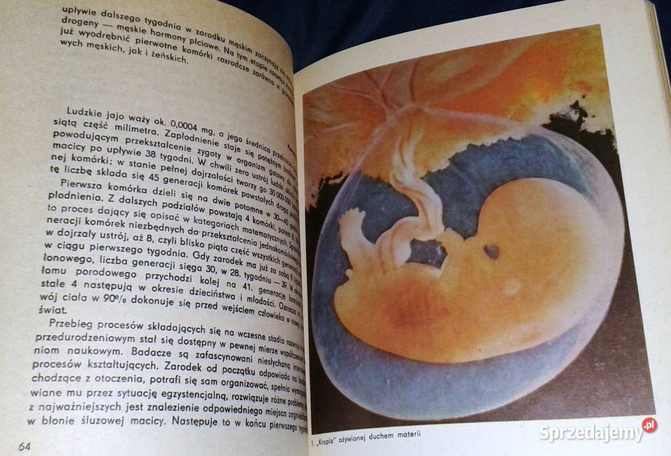 Dar rodzenia Włodzimierz Fijałkowski literaturoznawstwo lubelskie Chełm