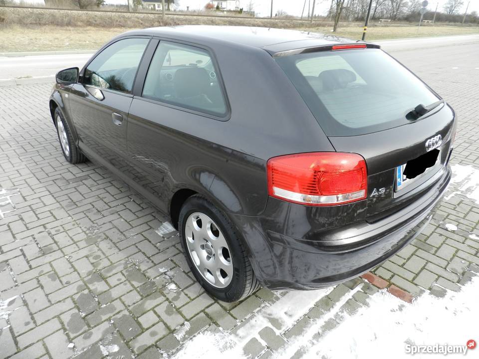 Audi A3 8P 16 Benzyna Xenon Skóra Pierwszy 201500km Świdnik
