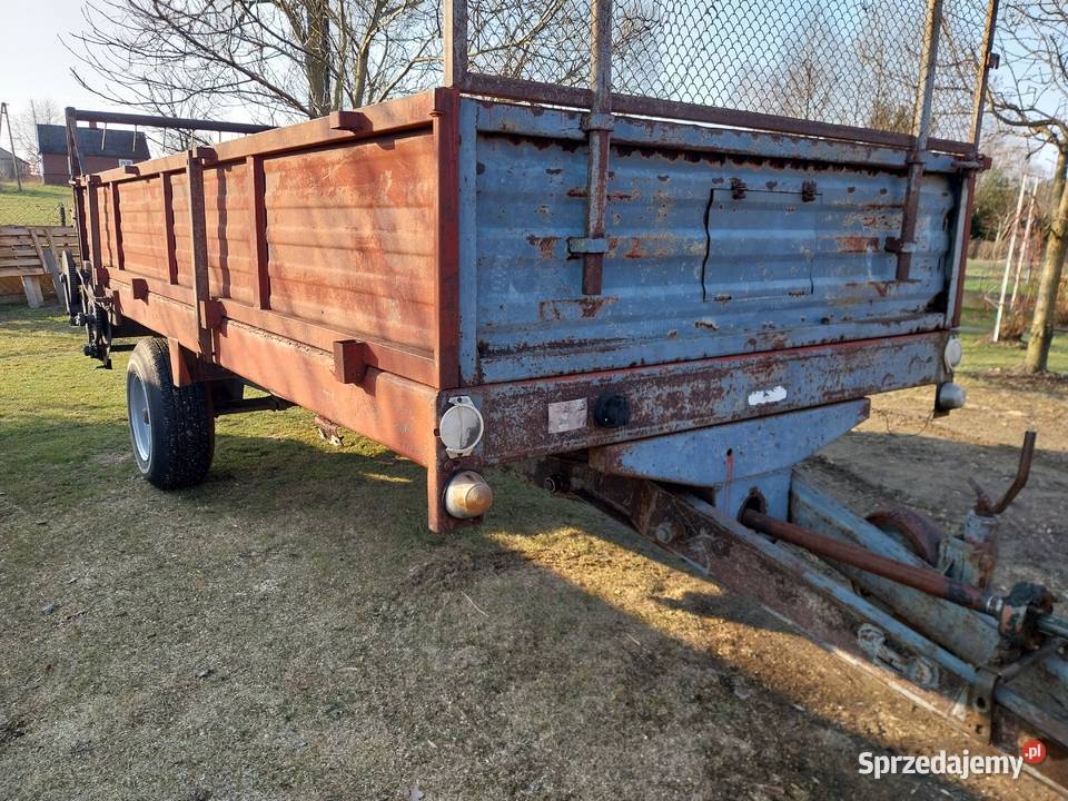 rozrzutnik carna białostocka