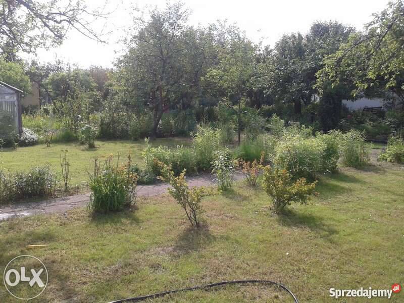 Działka pracownicza Łódź Górna rekreacyjna Grunty i działki Łódź sprzedam