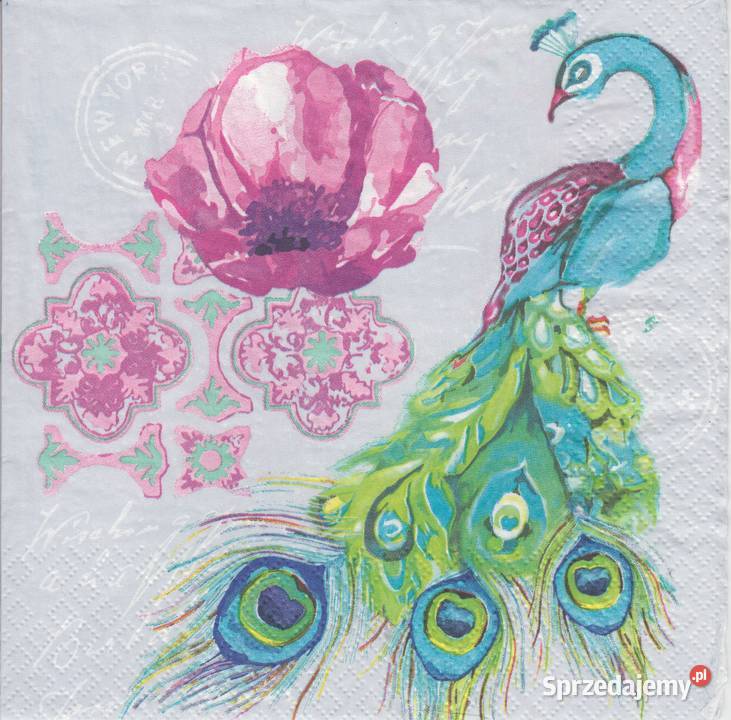 Dekupaż decoupage serwetki ptaki ptaszki sowa Skarżysko-Kamienna