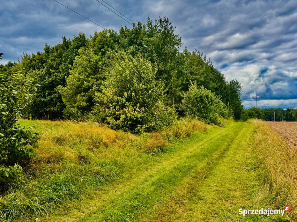 Drygały piękna działka 14 ha w otoczeniu lasów i warmińsko-mazurskie