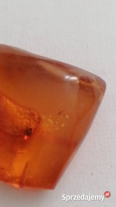 Bursztyn inkluzja Białystok