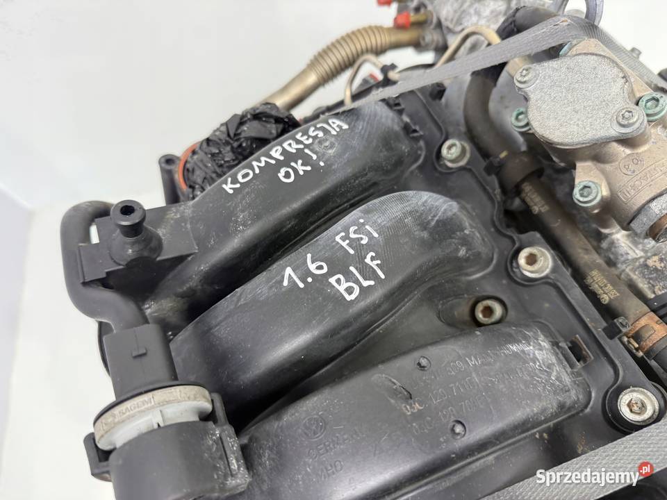 SILNIK BLF VW Touran Golf V Eos Jetta III 16 FSI Chełm