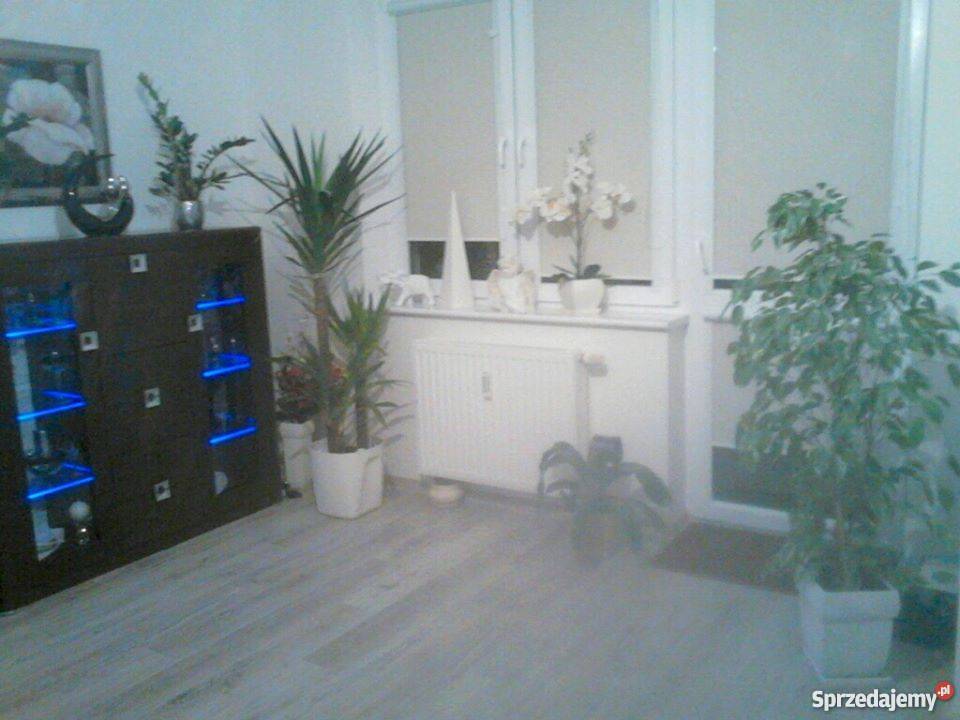 Mieszkanie 2pokojowe Słupsk TBS w pełni Słupsk