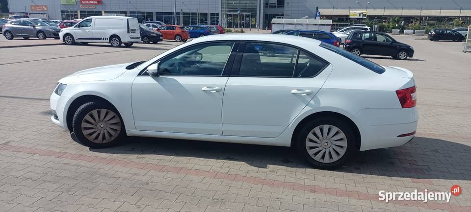 Skoda Octavia Skoda Octavia 15 TSI Active z Zielona Góra