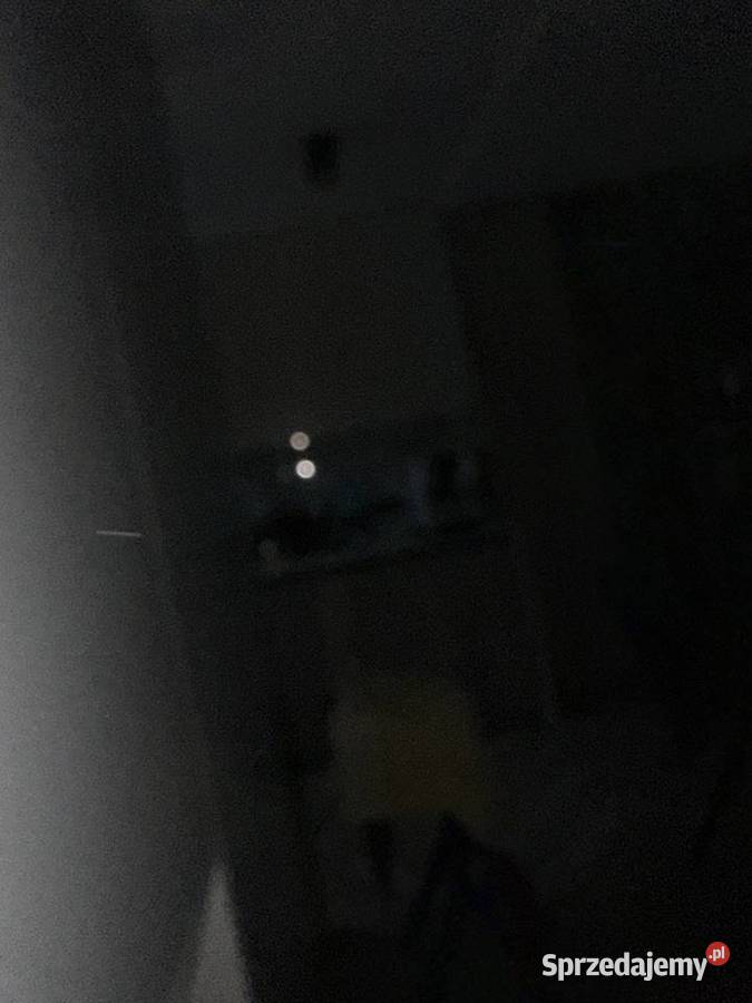 Spodnie dresowe męskie Adidas XL Łódź