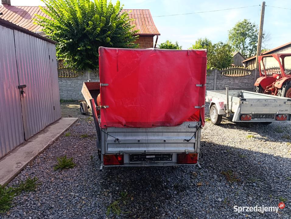 Stema Sokołów Małopolski