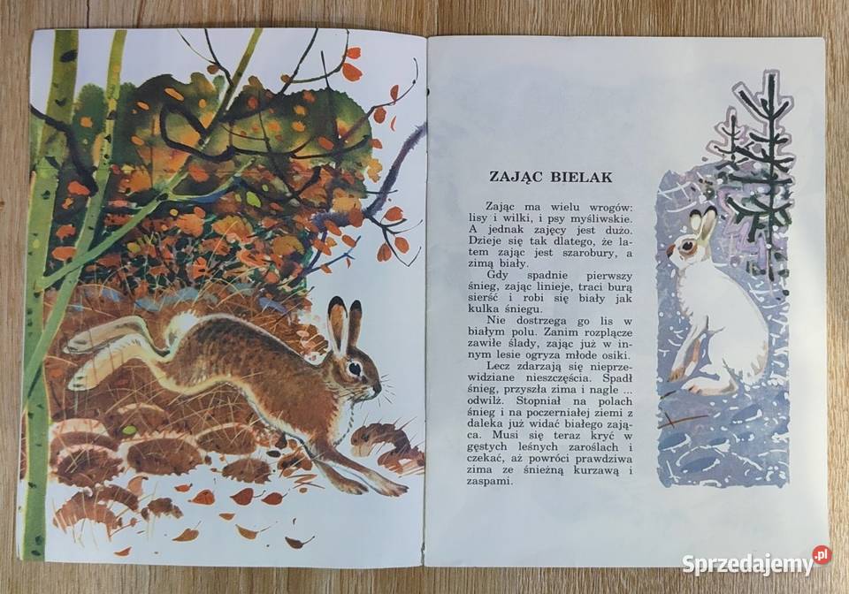 barwy chronią zwierzęta Gennadij Sniegiriew Rok wydania 1978 Kultura i Rozrywka mazowieckie Warszawa