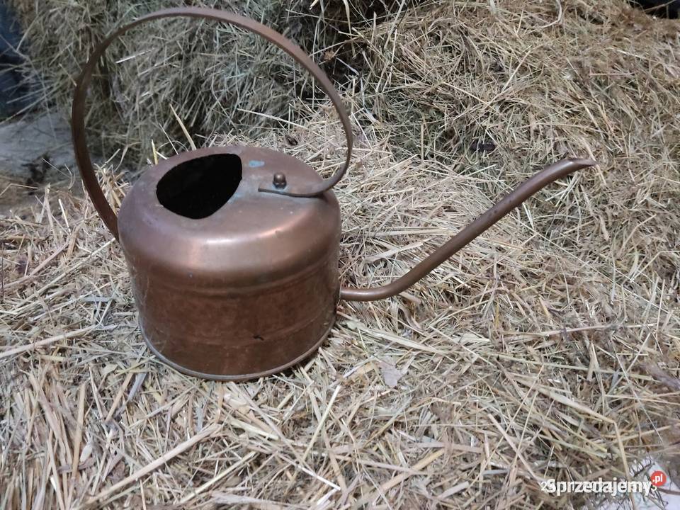 Konefka miedziana śląskie sprzedam