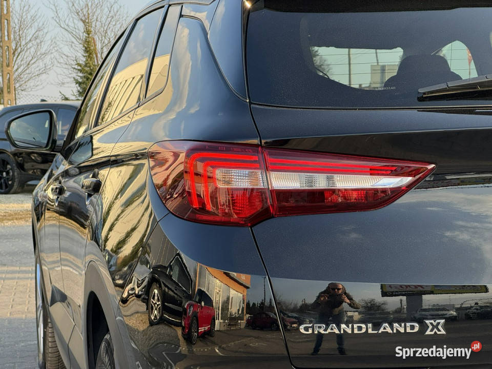 Opel Grandland X FILMAUTOMATNawigacjaFULL tempomat Suchy Las