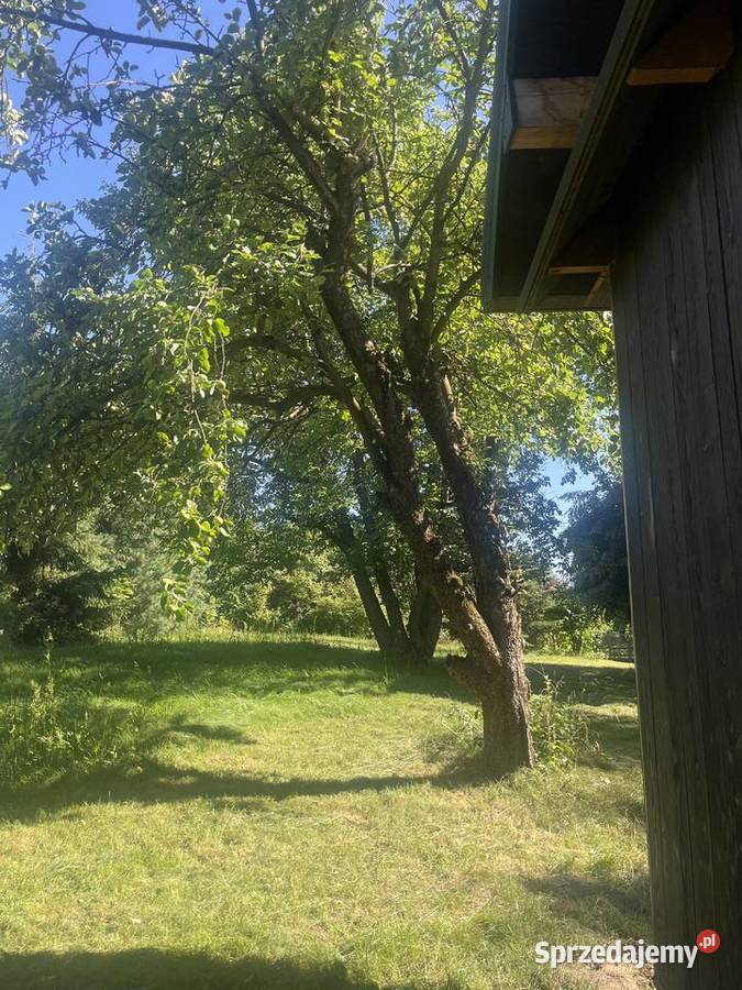 Siedlisko dom drewniany Kazimierz Dolny Nałęczów 70m2 Wolica