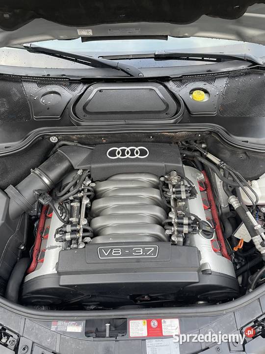 Audi A8 D3 37 Quattro Benz gaz Motoryzacja