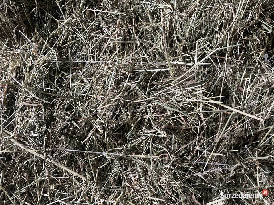 Sprzedam siano i słomę Działoszyn