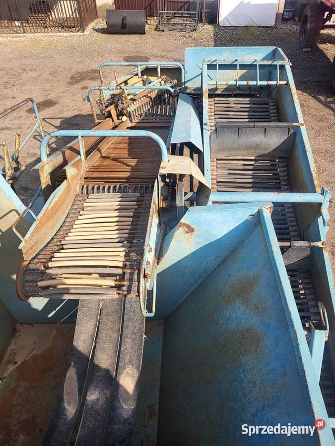 Kombajn ziemniaczany Bolko Z643 1991 zbieracz do Osięciny