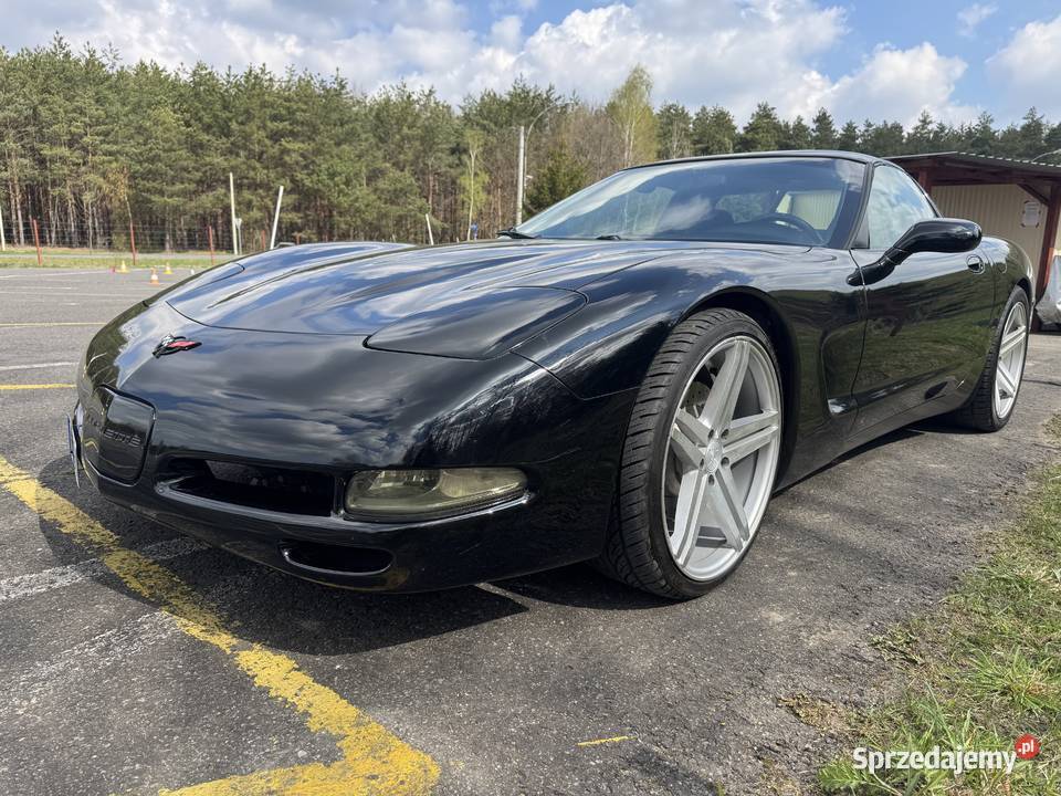Corvette Corvette Rzeszów
