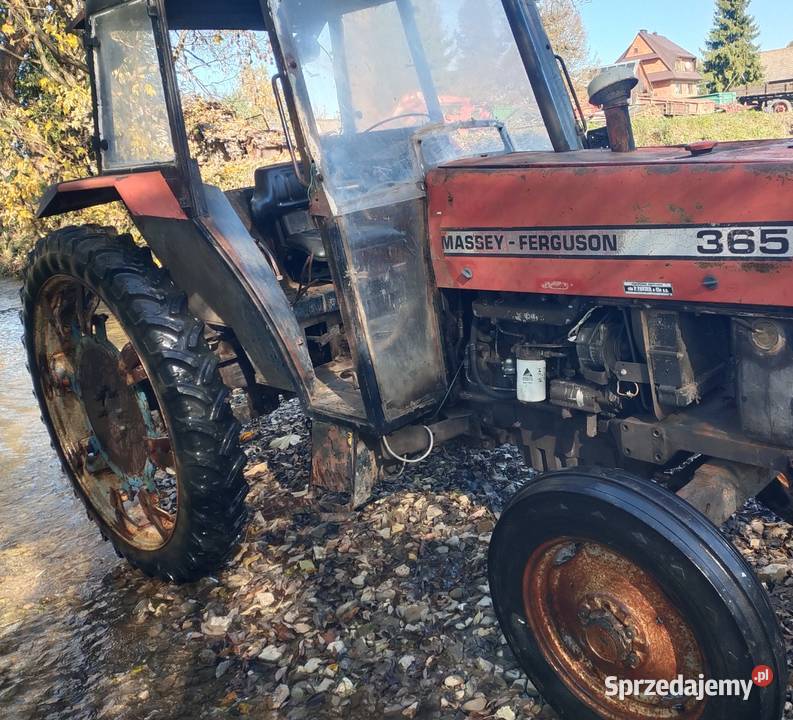 Massey Ferguson 365 Nowy Targ