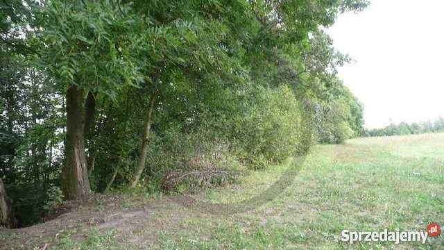 Działka rekreacyjna 3400m2 Trzebawie Trzebawie
