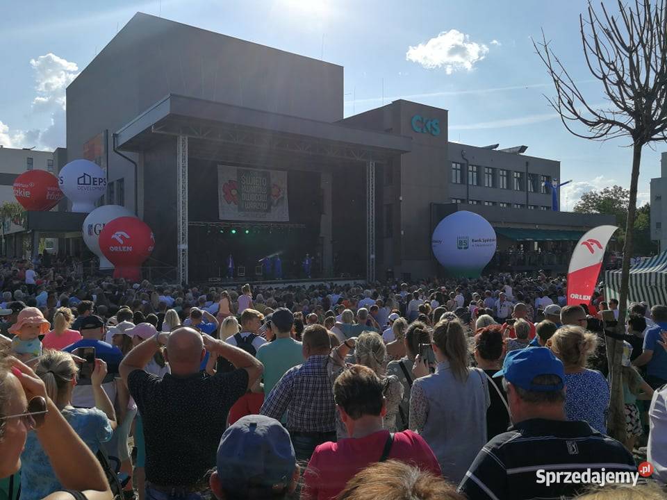 Agencja Ochrony Osób i Mienia Astrea Ochrona mazowieckie Grodzisk Mazowiecki