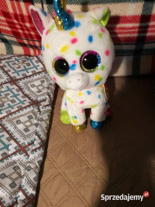 Pluszak nowy 2 lata+ Opole