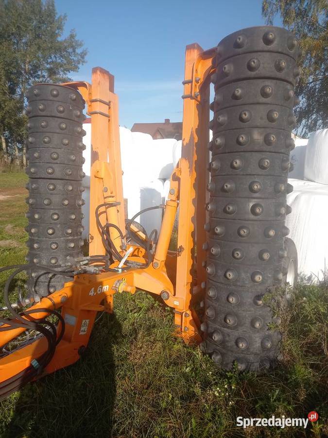 Waly posiewne lakowe Wojewodzin