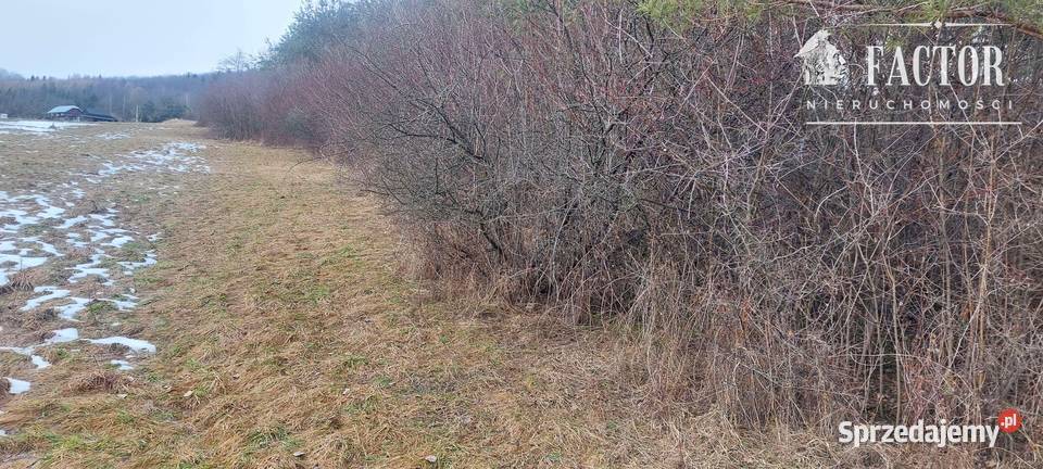 Siary działka budowlano rolna 053 ha 1169S2026 Sprzedaż